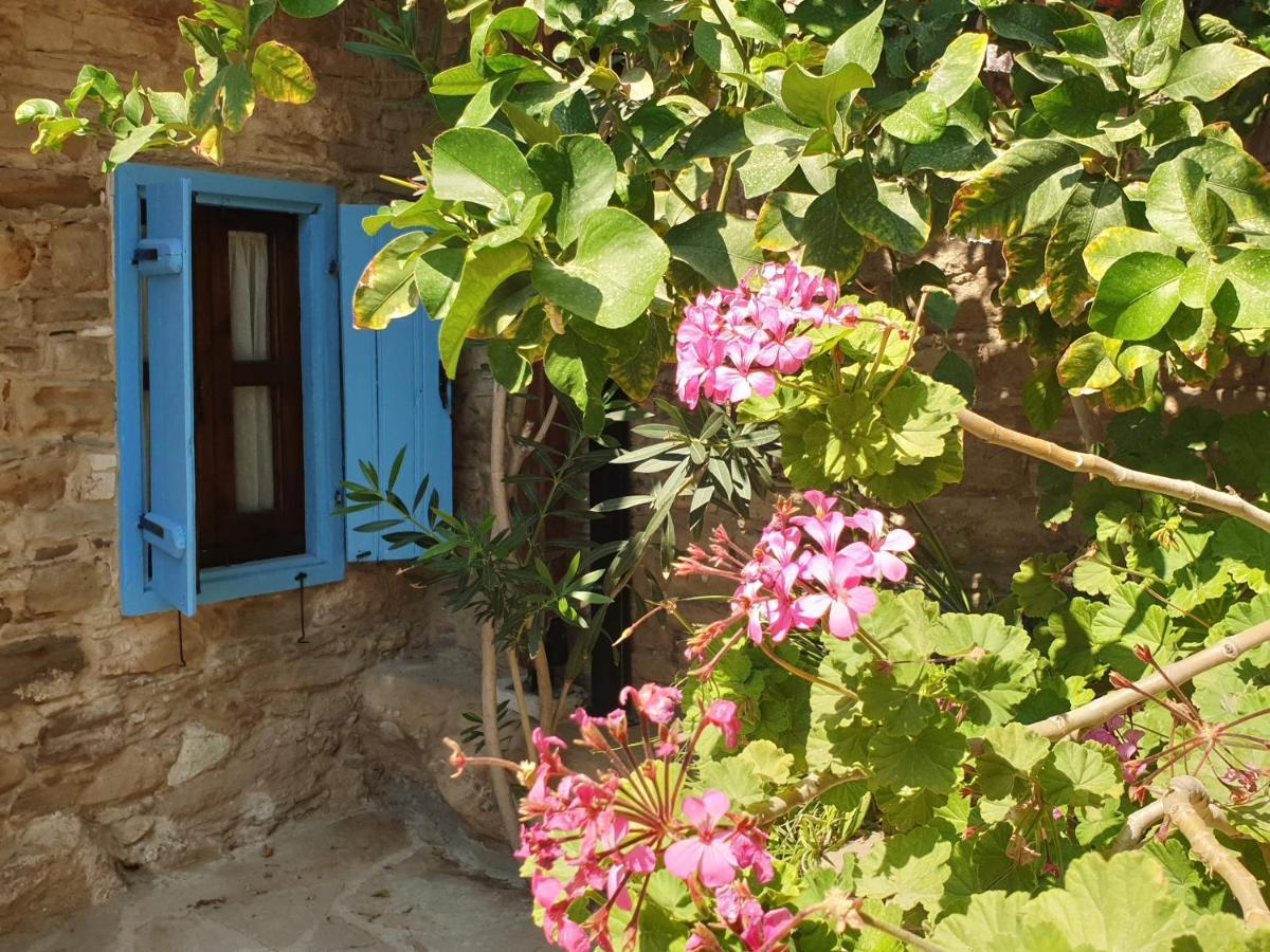 Vasilopoulos House Tochni Zewnętrze zdjęcie